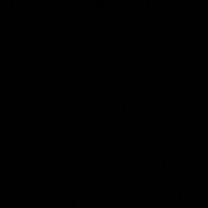 Meet your Posher, Savannah